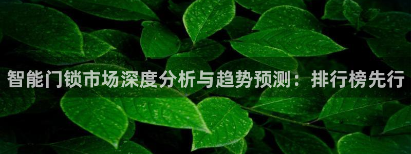 富联2娱乐资讯