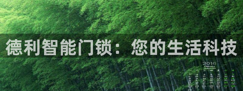 富联娱乐总裁简介图片：德利智能门锁：您的生活科技
