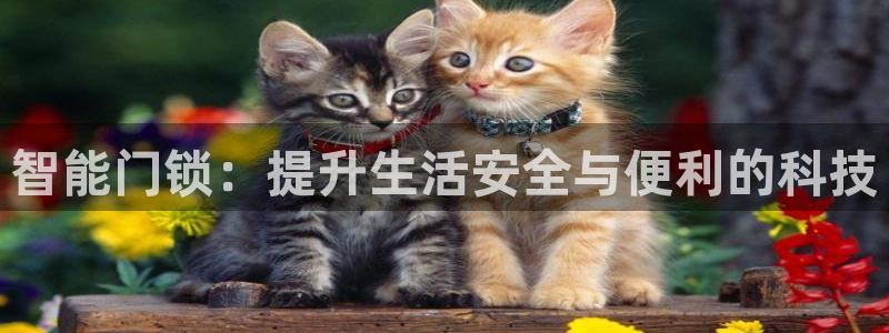 富联娱乐技术研发实力：智能门锁：提升生活安全与便利的科技