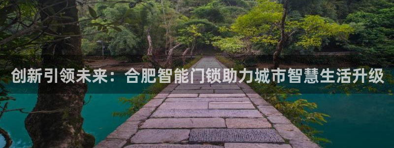 富联2娱乐首页网址：创新引领未来：合肥智能门锁助力城市智慧生