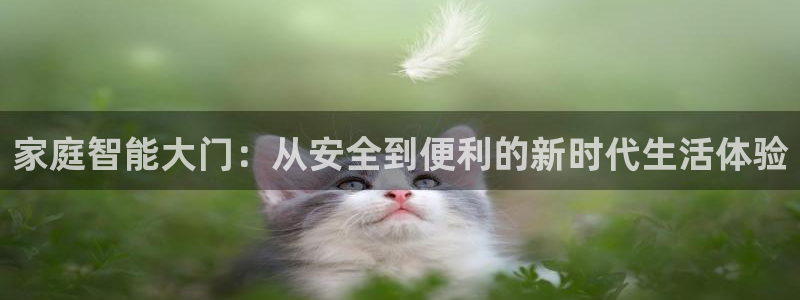 富联娱乐主管那判官333OO：家庭智能大门：从安全到便利的新
